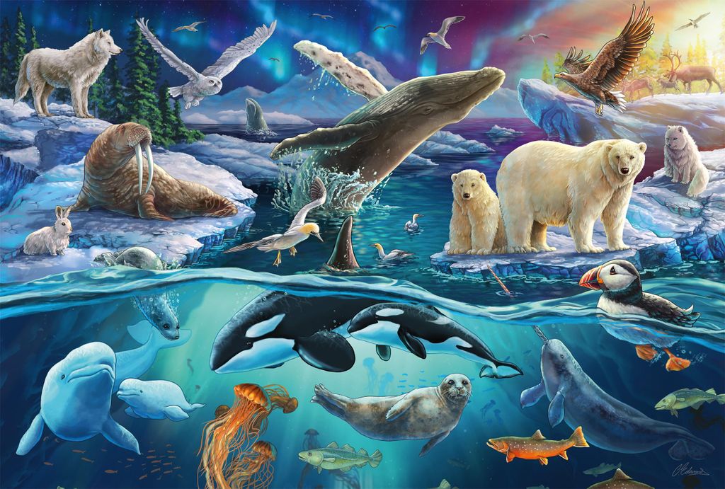 Schmidt Spiele Kinderpuzzle Standard Tiere in der Arktis, Immagine del prodotto 