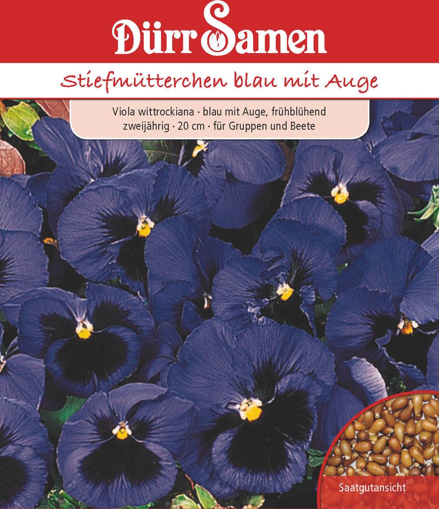 Stiefmütterchen dunkelblau mit Auge | Stiefmütterchensamen Produktbild 