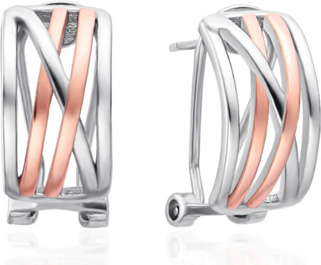 Eleganza Minimal: Orecchini AGT-E123KK-2T Bicolore e Zirconi