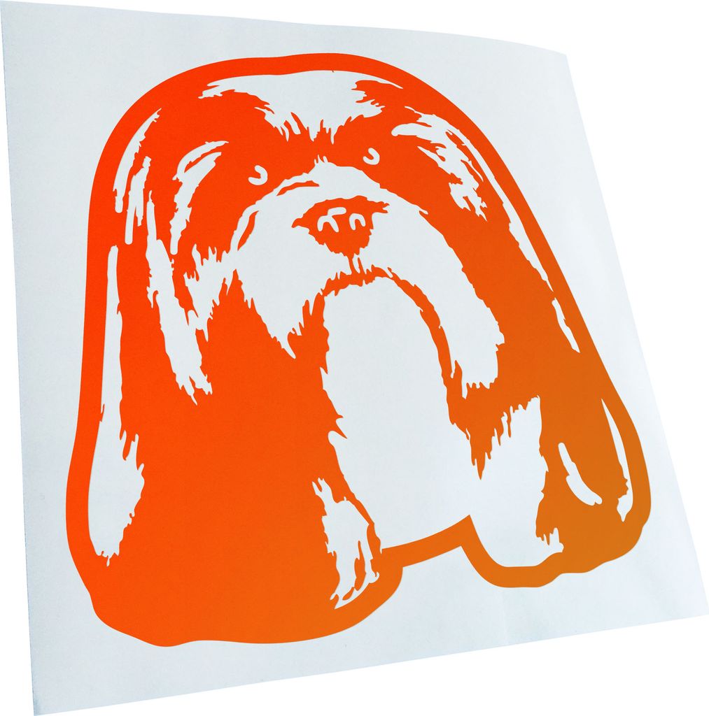 Kiwistar - Autoaufkleber - lhasa apso Hund - Orange - 10x10cm - Aufkleber für Auto, Laptop, Fahrrad, LKW, Motorrad mehrfarbig JDM Decal Racing