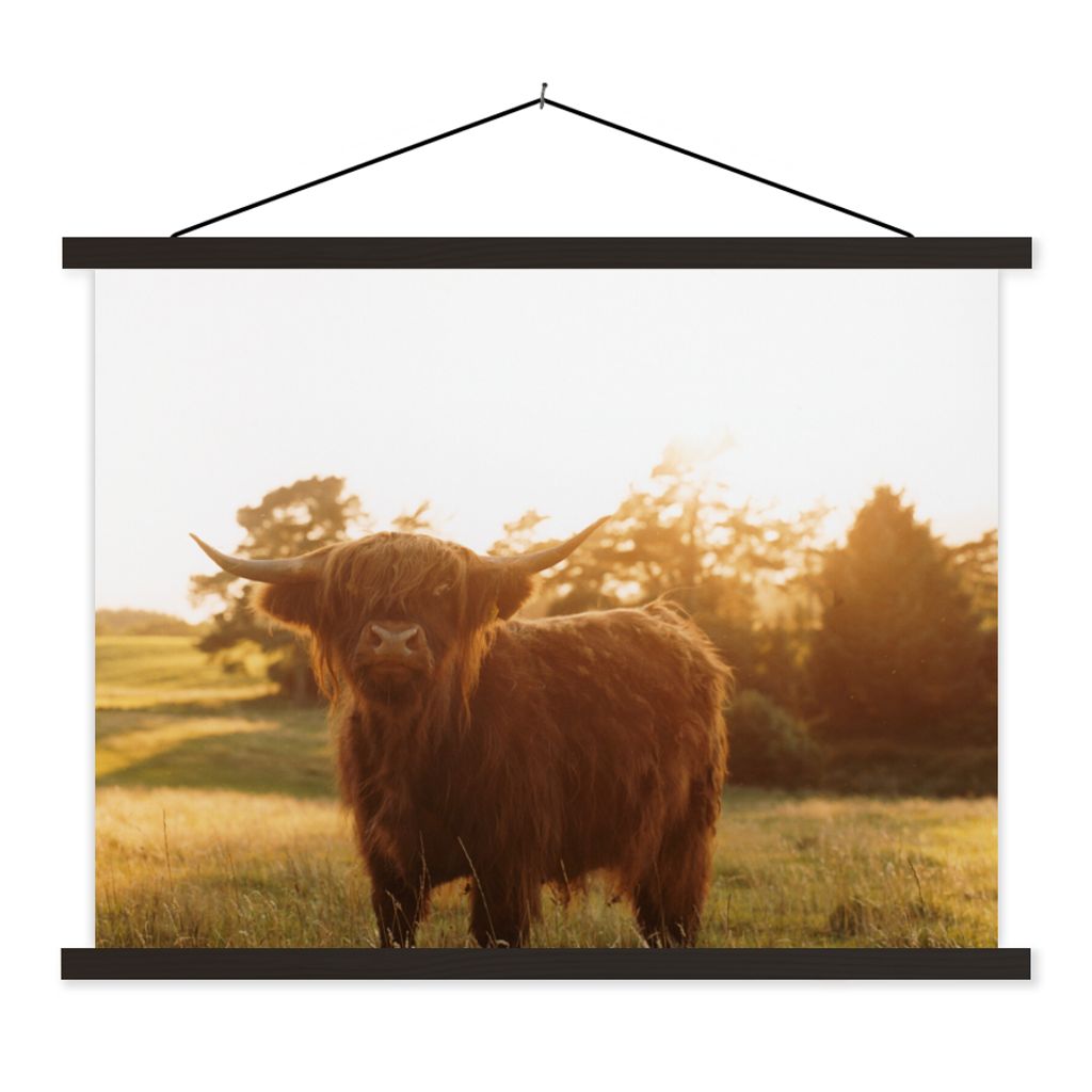 MuchoWow Textilposter Schottischer Hochländer - Gras - Sonne 60x45 cm mit schwarzem Rahmen - Poster Schlafzimmer