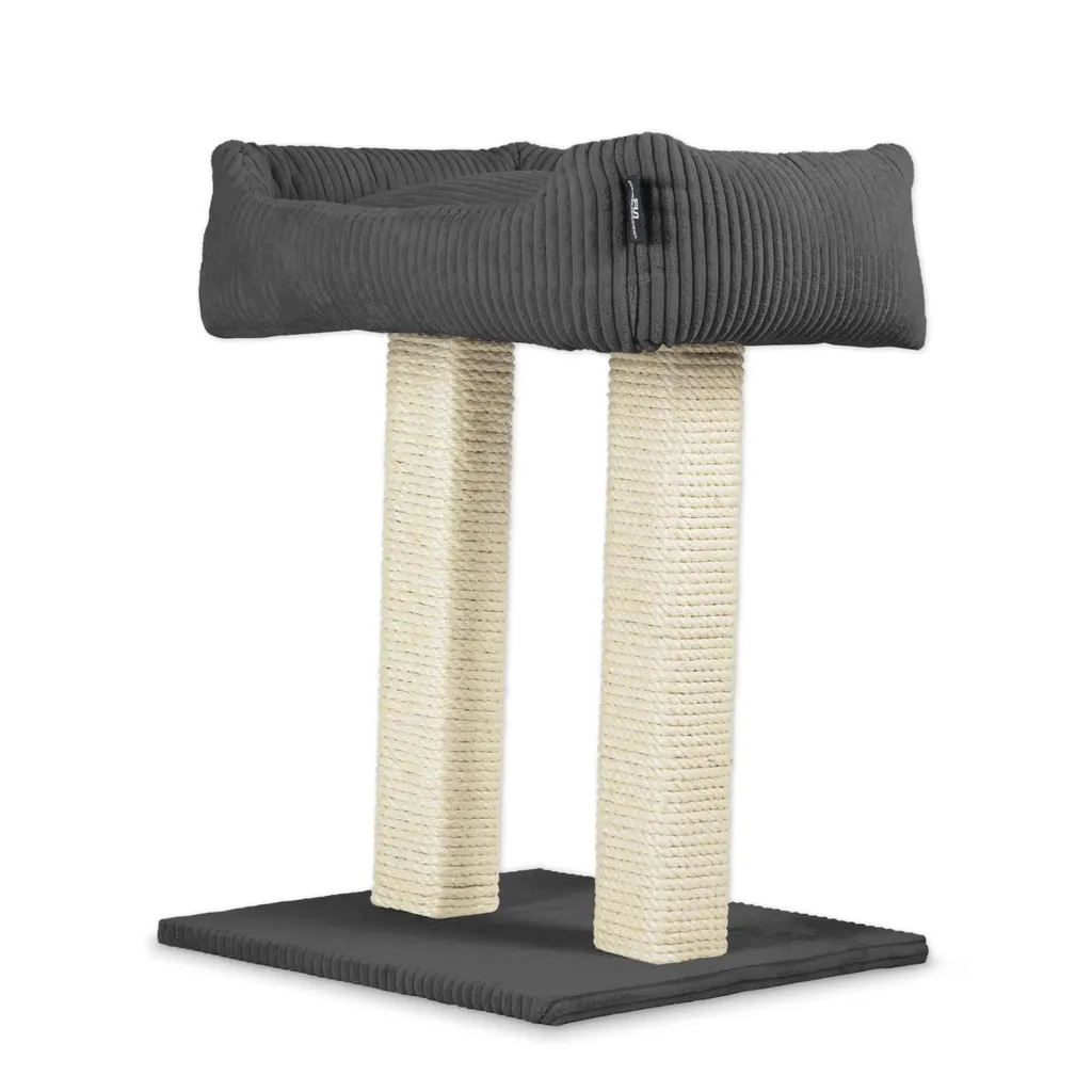 Arbre à chat anti-griffures meubles avec canapé confortable gris foncé