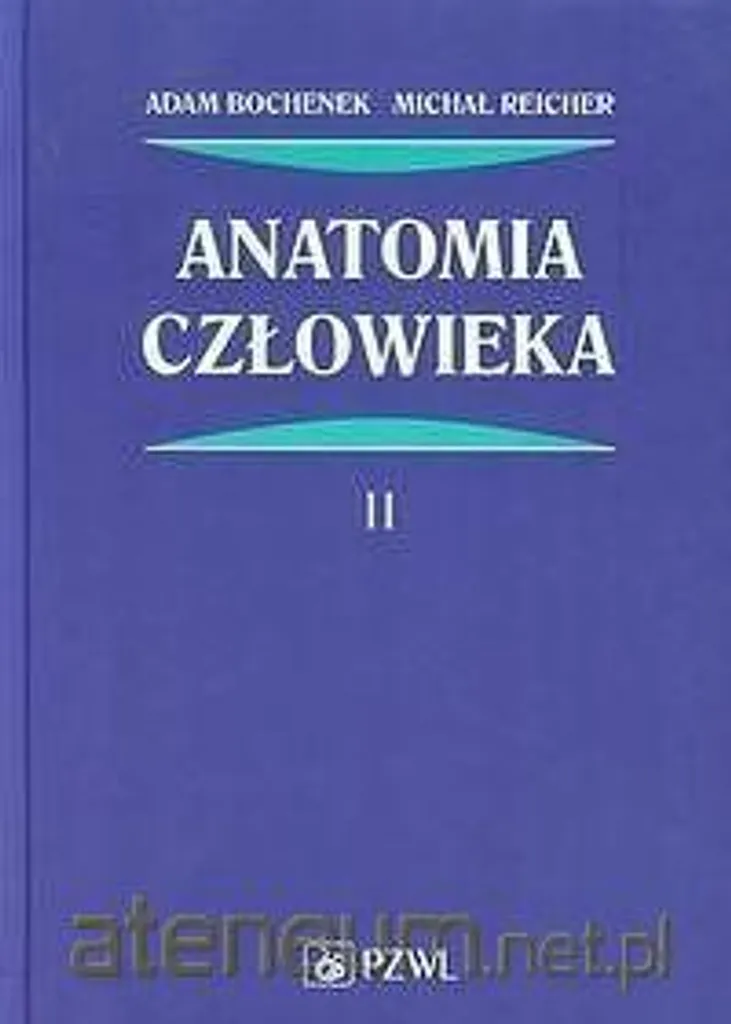 Anatomia Człowieka T.2 Maîtrisez l'Anatomie Complexe Facilement