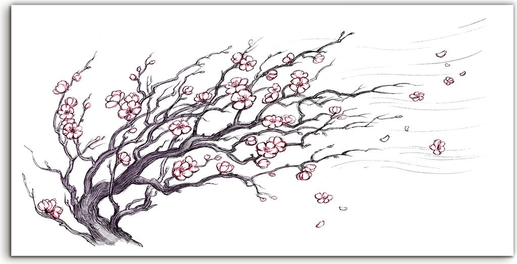 Coloray - Glasbild - 100x50 cm - Wandbild - Glasbilder - Foto Blumen Japanischer Kirschbaum