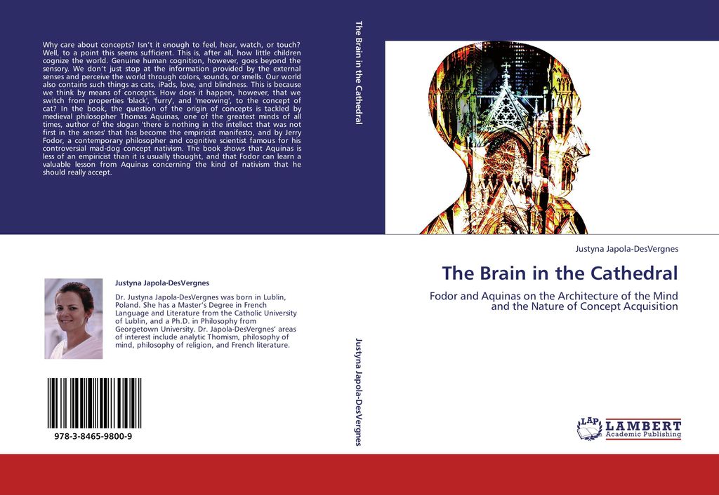 The Brain in the Cathedral