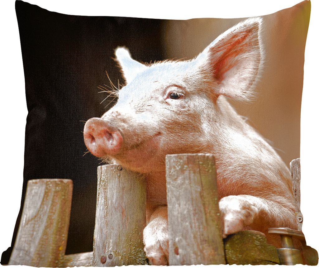 MuchoWow Zierkissen Sofakissen Wohnzimmer Dekokissen 50x50 cm Schwein - Tier - Zaun - Komfort - Sofakissen