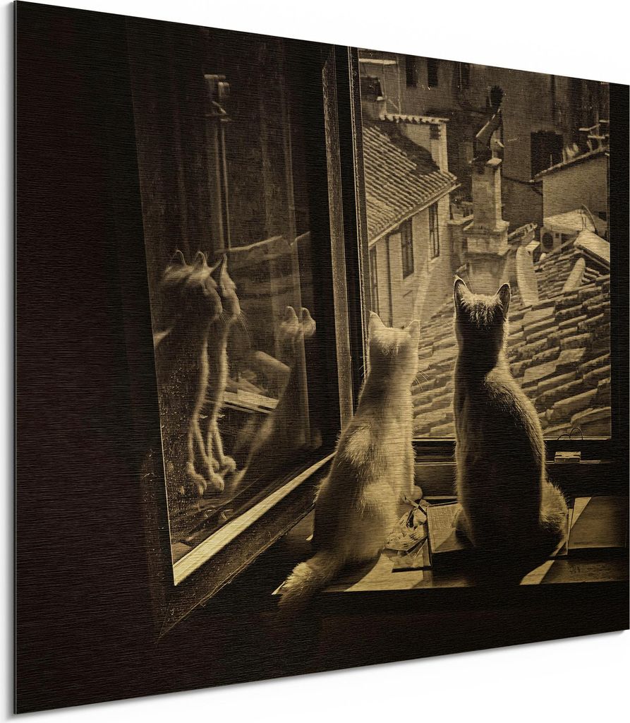 DEQORI Alu-Dibond Bild Gold 40x30 cm 'Katzen auf Fensterbrett' Wandbild Metall dünn