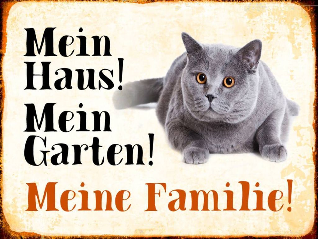 vianmo Holzschild 30x40 cm Tiere Katze mein Haus Garten Produktbild 