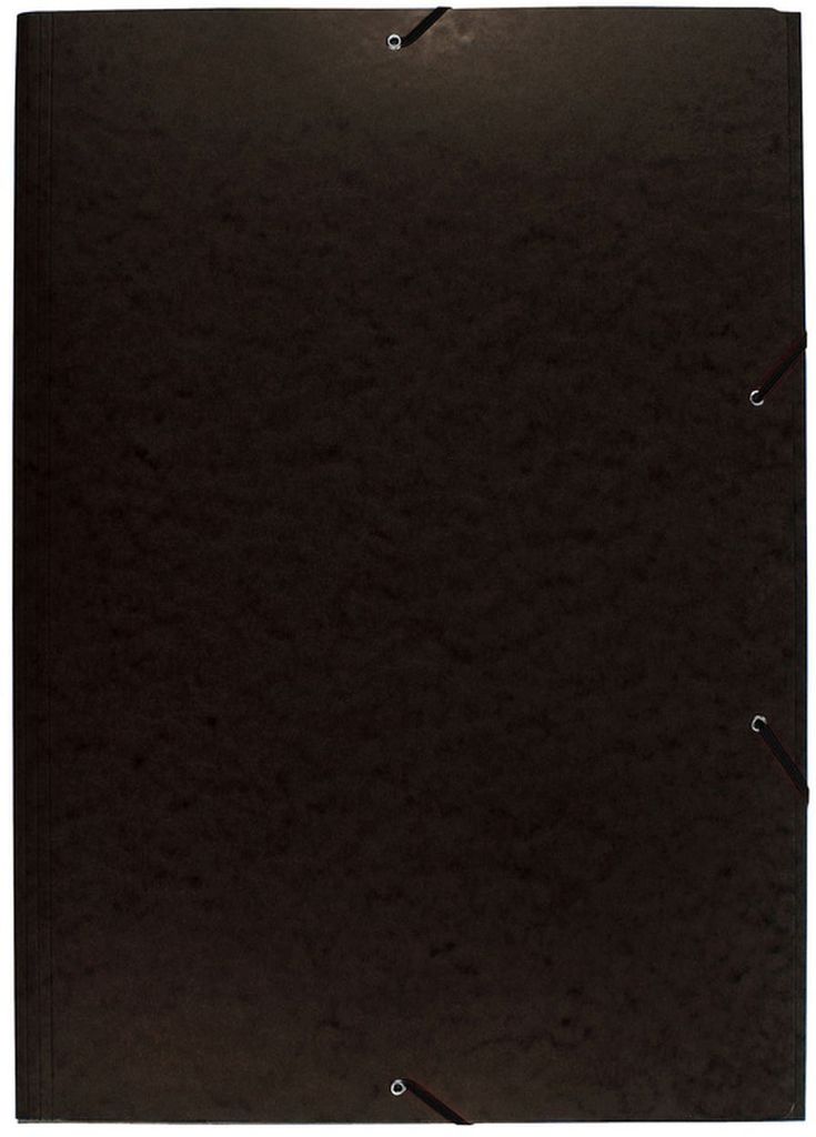 Exacompta 59651E Sammelmappe (Gummizug, 3 Klappen, Produktbild 