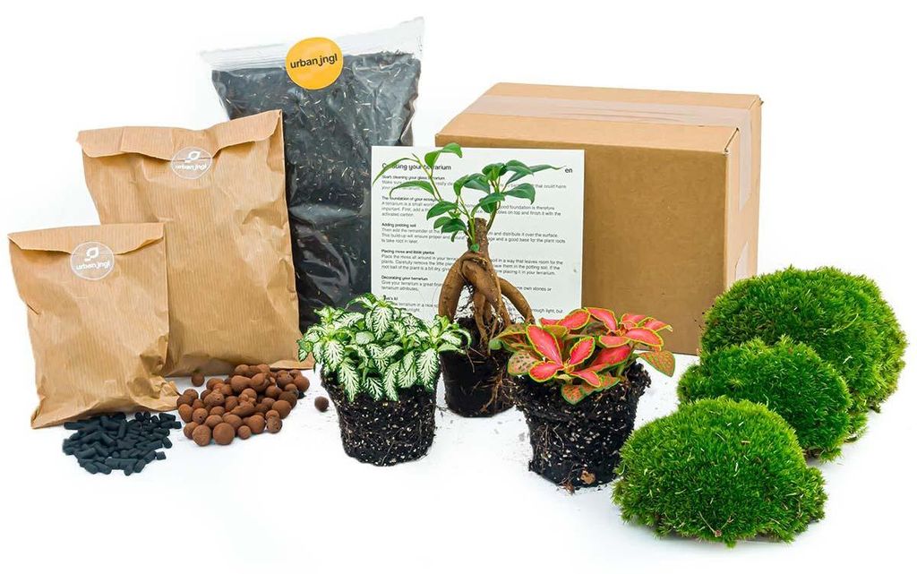 Green Your Bottle – Komplettset für deinen Flaschengarten – Produktbild 