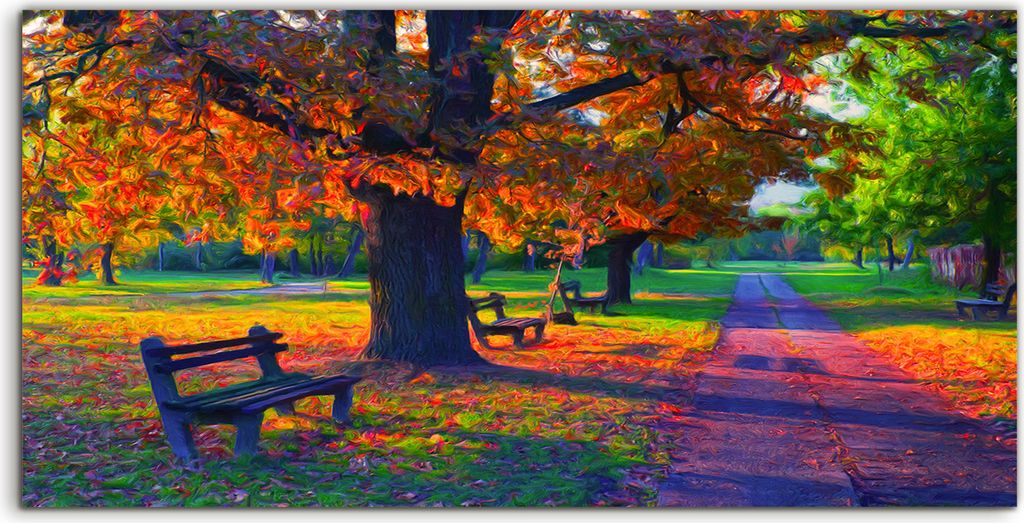 Coloray Spritzschutz aus Glas 120x60 Wandkunst Küchenrückwand Landschaft sonniger Herbsttag im Park