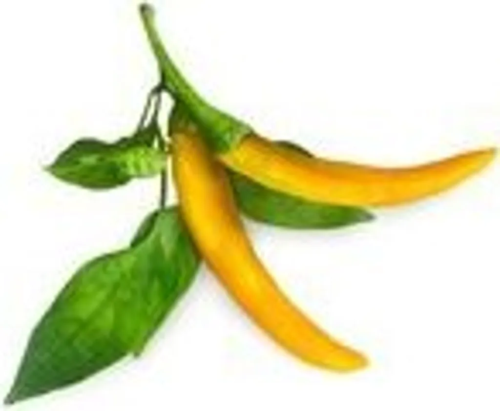 Click & Grow Pods de Piment Jaune Chili - Capsules de Graines x3