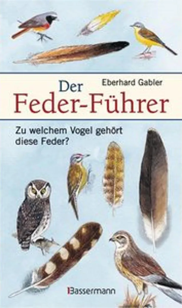 Stylo Plume Calligraphie Der Feder-Führer pour Signature de Contrats