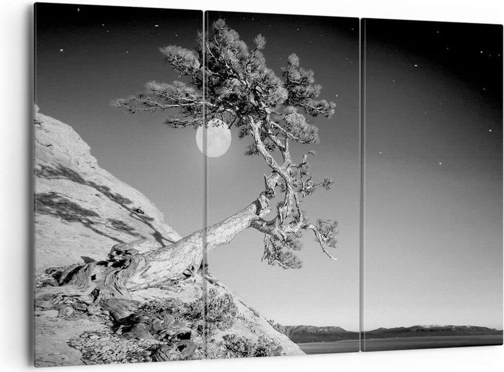 Bild auf Leinwand - Leinwandbild - 3 Teile - Voll der Mond Baum - 165x110cm - Wand Bild - Wanddeko - Wandbilder - Leinwanddruck - Bilder - Wanddeko...