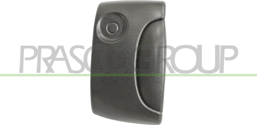 PRASCO DS9178101 Türgriff Rechts für RENAULT KANGOO (KC0/1) Produktbild 