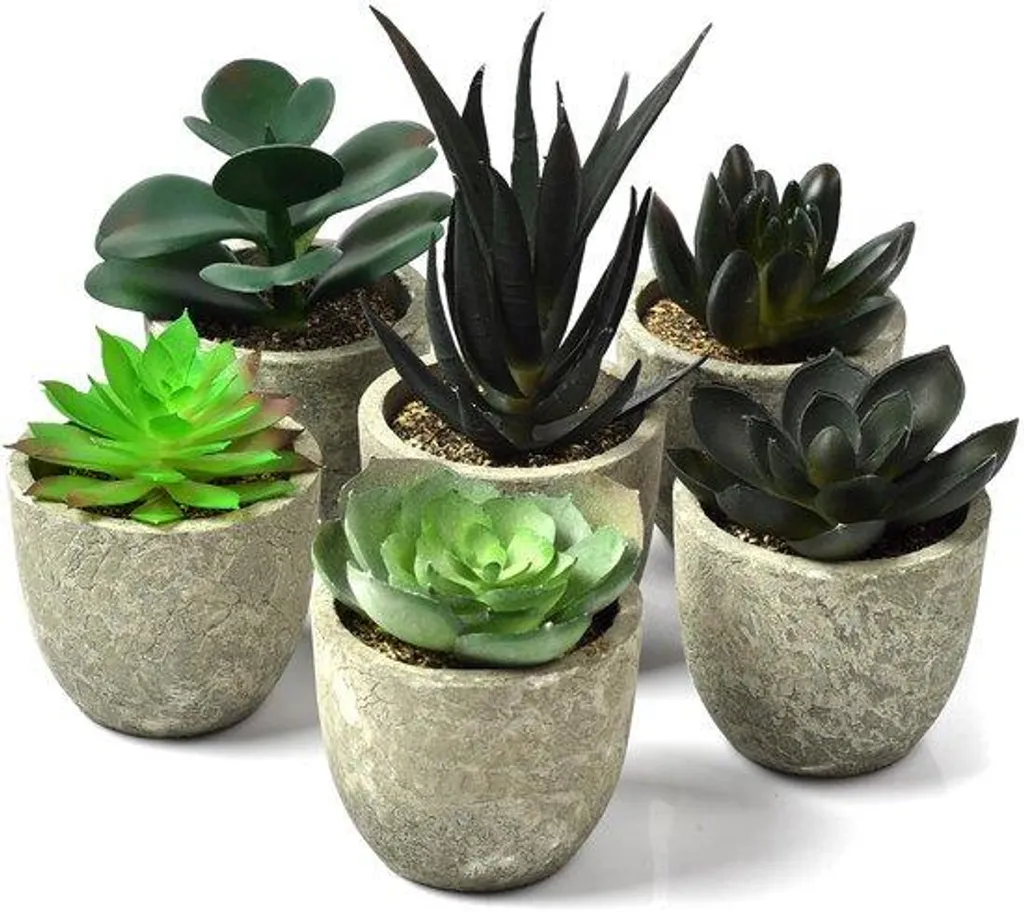 Décoration Bureau et Maison : 6 Mini Cactus Artificiels sans Entretien