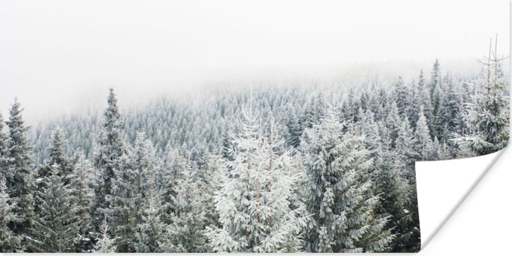 MuchoWow Poster Wald - Schnee - Winter - Jahreszeiten - Tannenbaum 40x20 cm - Poster für die Wand - Poster Schlafzimmer