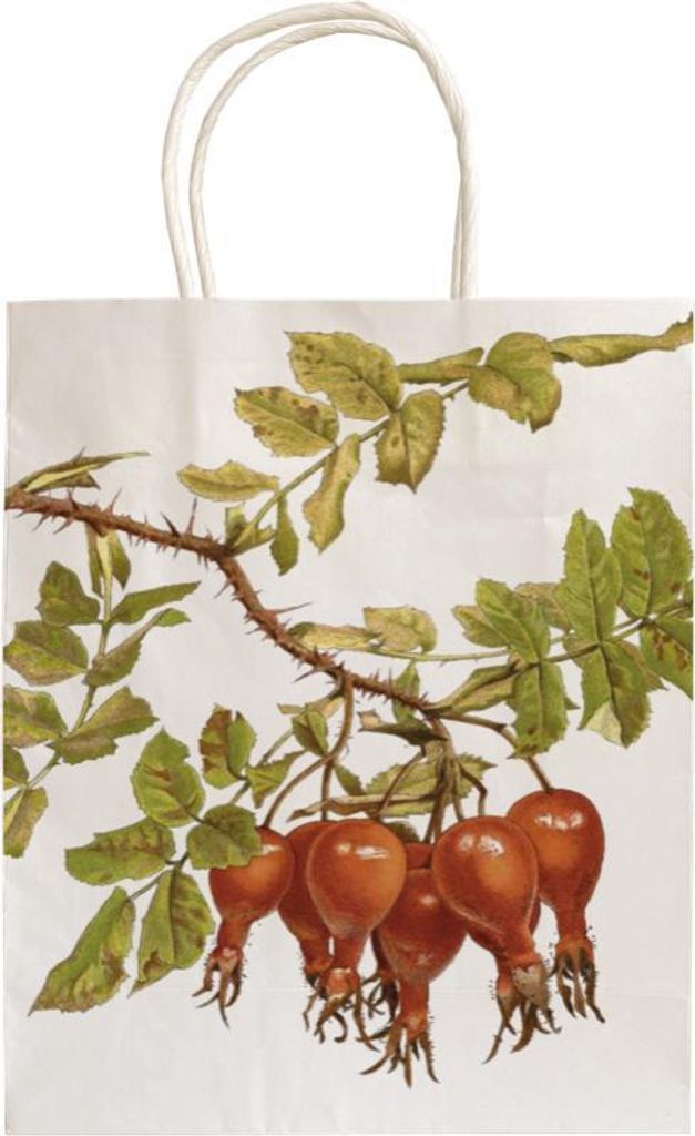 Dárková papírová taška Rosehip