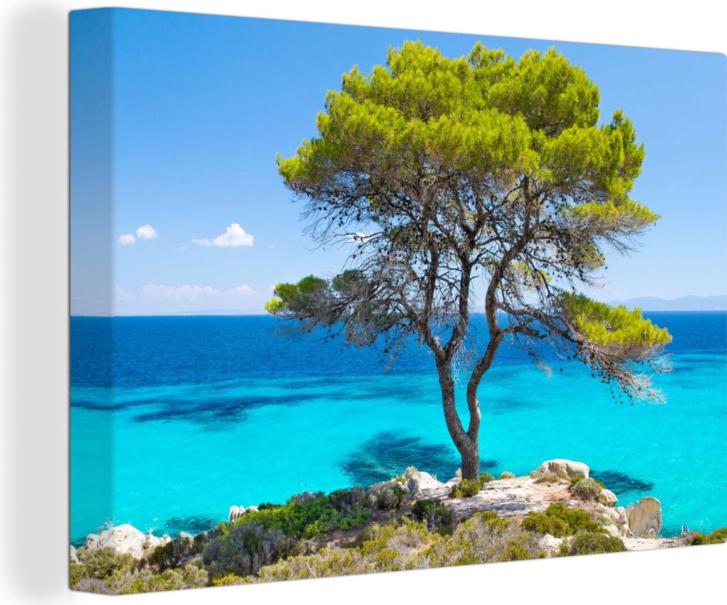 OneMillionCanvasses - Leinwandbilder - 150x100 cm, Baum - Meer - Tropisch - Sommer, Wandbilder Kunstdruck Wanddekoration - Foto auf Leinwand - Ge...