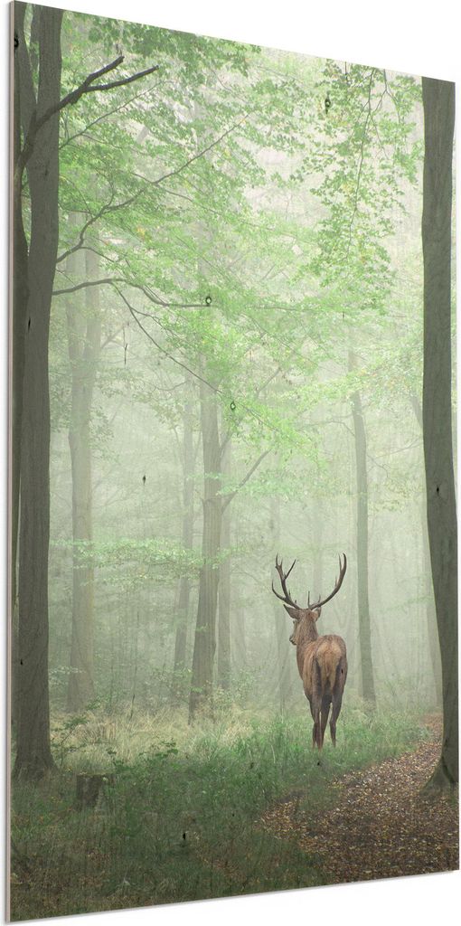 DEQORI Holzbild 60x90 cm 'Hirsch zwischen Bäumen' Bild auf Holz Wandbild Kunstdruck