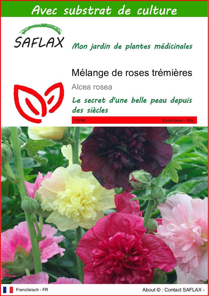 SAFLAX  - Mélange de roses trémières - 100 graines - Avec Image du produit 