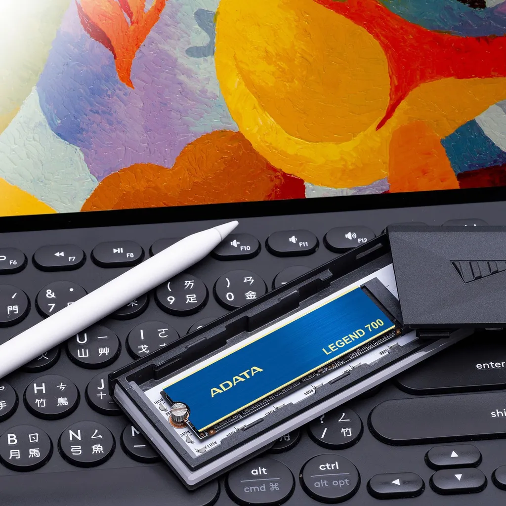 SSD PCIe Gen3x4 ADATA LEGEND 700 Rapide 2000 Mo/s 512 Go - 9
