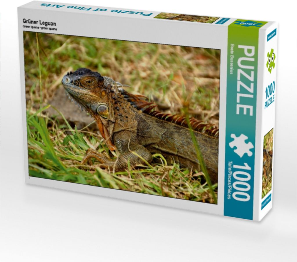 Calvendo Grüner Leguan 1000 Teile Puzzle quer 640x480mm, Bussenius Beate; 7326374