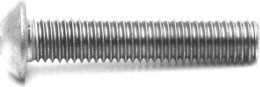 Bofix Allenbout M6x25 Edelstahl Bolkop (25st)