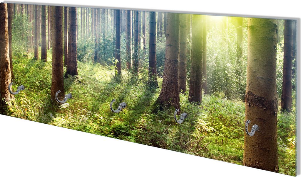 Wallario Flurgarderobe Wandgarderobe aus Glas, mit 5 Haken, Größe 80 x 30 cm, Motiv Sonnenuntergang im Wald zwischen den Bäumen