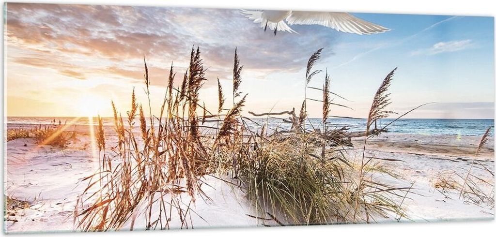Bilder auf glas - Einteilig - Möwe Meer Küste - 100x40cm - Glasbilder - Wandbilder - Bilder - zum Aufhängen bereit - Wanddekoration aus Glas - G...