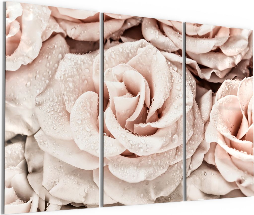 DEQORI Glasbild Echtglas 3x50x100 cm 'Taufrische Rosen' Wandbilder XXL groß