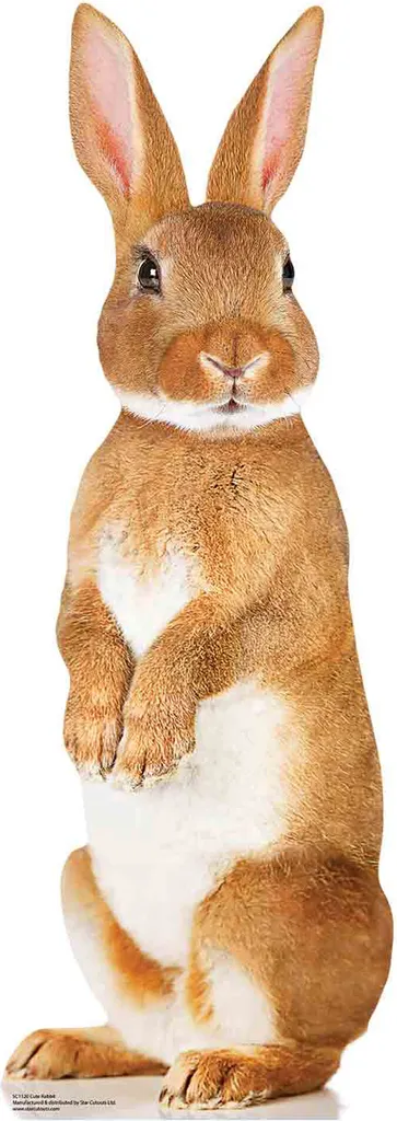 Figurine Lapin Mignon Grandeur Nature en Carton Rigide - Design 90 cm