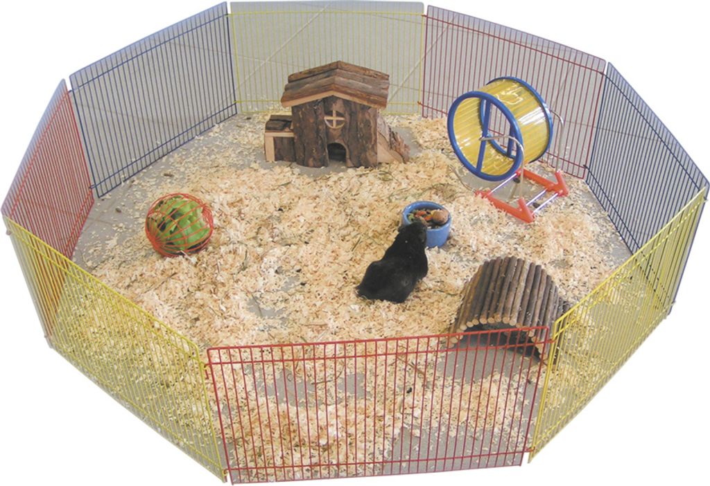 Nobby chomik free run 8 kratek 34 x 23 cm kolorowy Zdjęcie produktu 