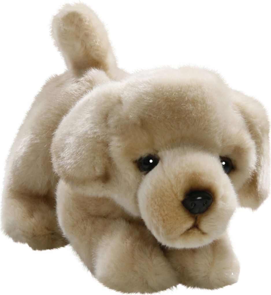 Carl Dick Golden Retriever Floppy ca. 23cm 3217 Kuscheltier, Plüschtier, Stofftier