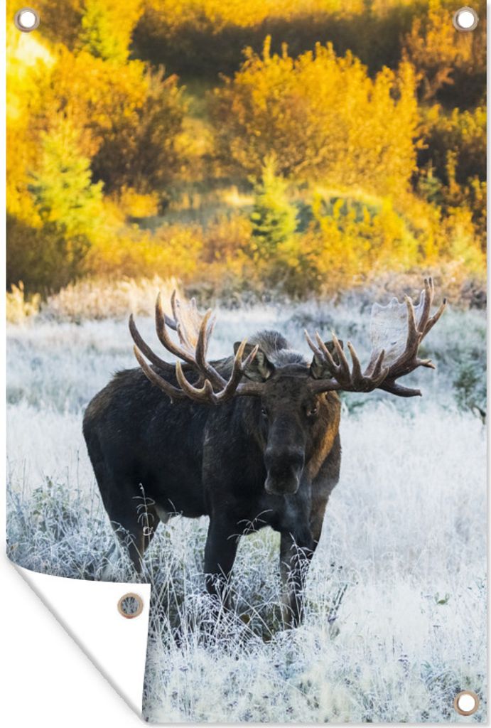 MuchoWow 40x60 cm Outdoor-Poster Gartendeko Sichtschutz Garten Poster für den Garten Elch - Geweih - Gras - Schnee