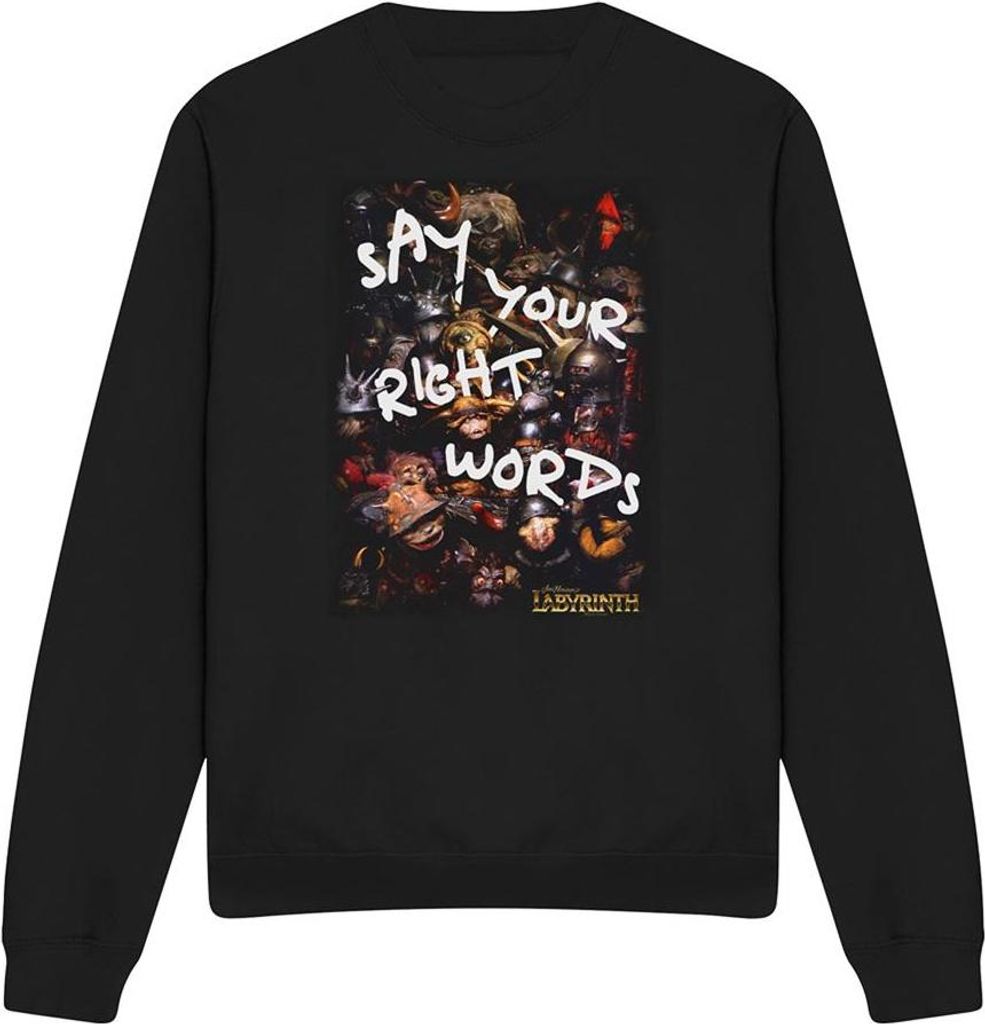 Labyrinth - "Right Words" Sweatshirt für Herren/Damen Uni TV27943 (S) (Schwarz)