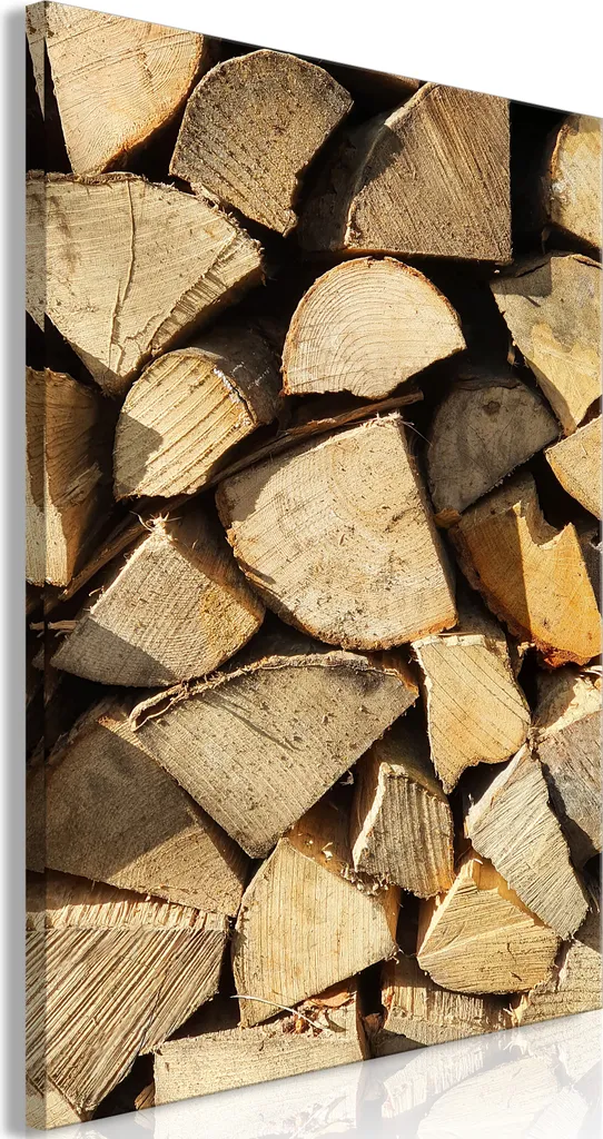 Emozioni su Tela: Bellezza del Legno 40x60 - Paesaggi d'Italia