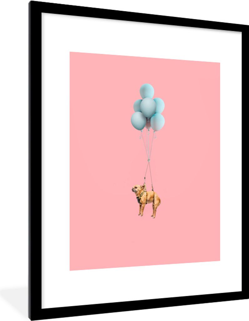 MuchoWow MuchoWow Gerahmtes Poster Chihuahua auf blauen Luftballons 60x80 cm - Poster mit zchwarzem Bilderrahmen - Wohnzimmer - Dekorationen - ...