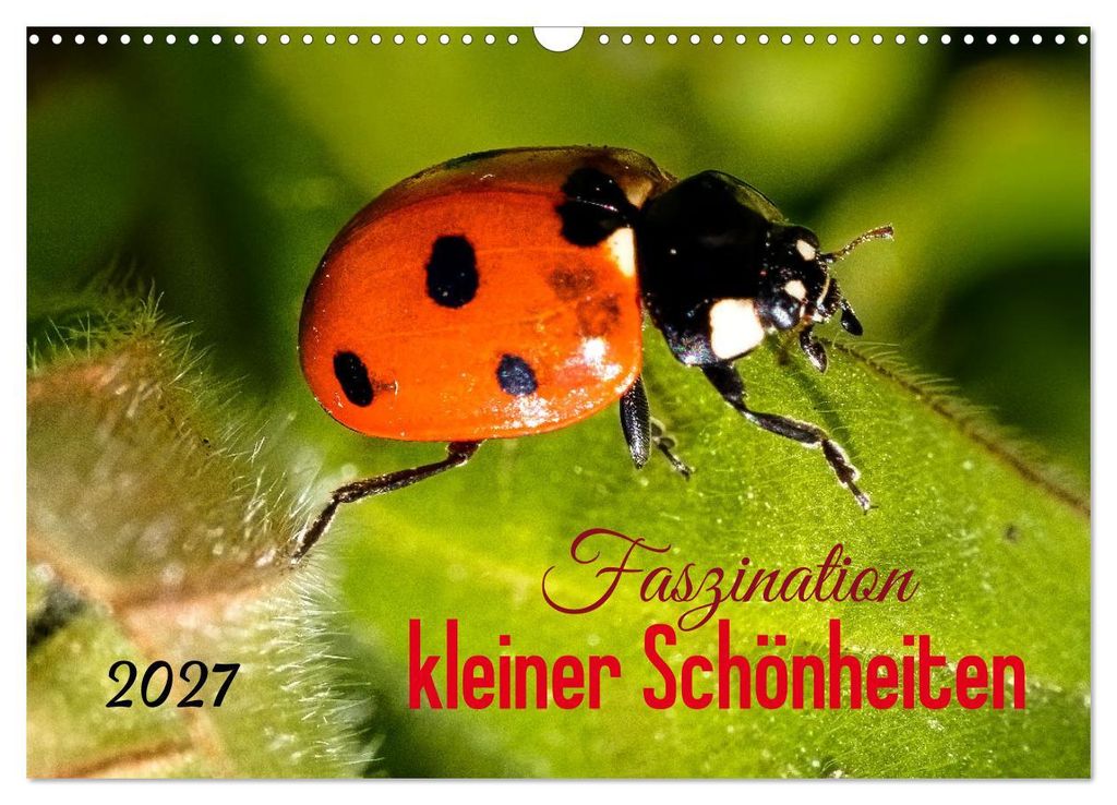 Faszination kleiner Schönheiten (Wandkalender 2027 DIN A3 quer), CALVENDO Monatskalender