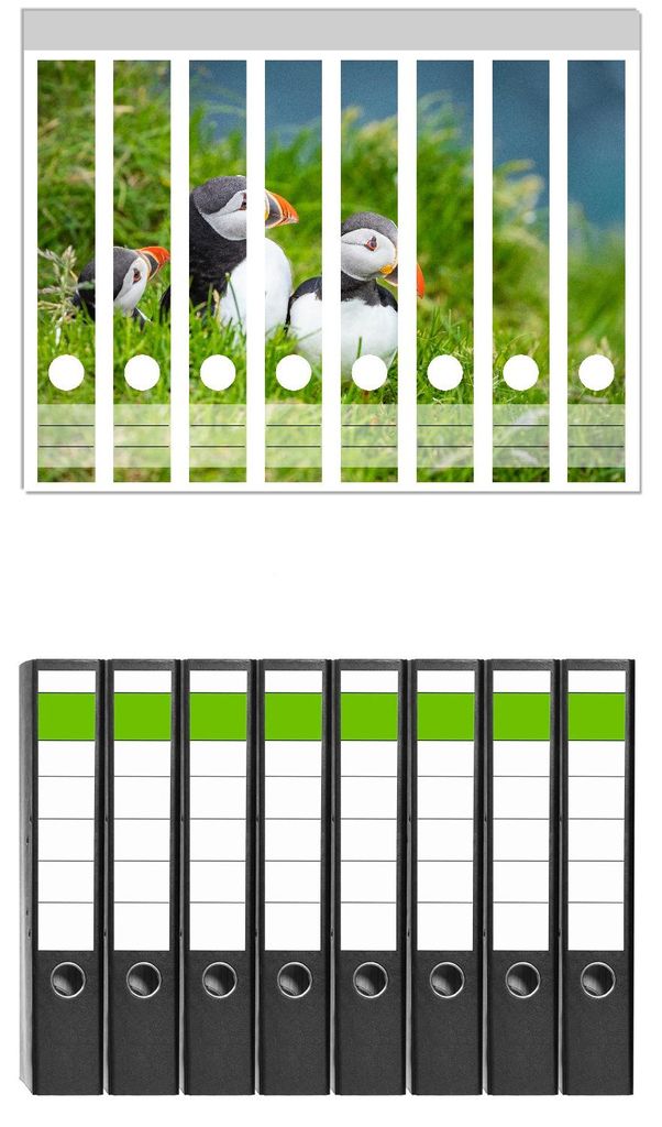 Wallario 8 Stück schmale Ordner inkl. Klebeetiketten mit Motive Papageitaucher im Gras - Set mit Rückenschildern / Ordnerrücken Stickern