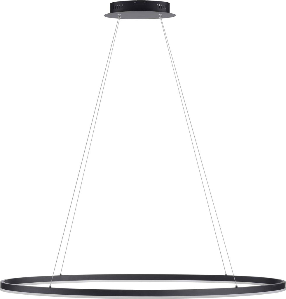 PAUL NEUHAUS LED-Pendelleuchte 2393-13 anthrazit, 57,5 W, 7760 lm, 3000 K