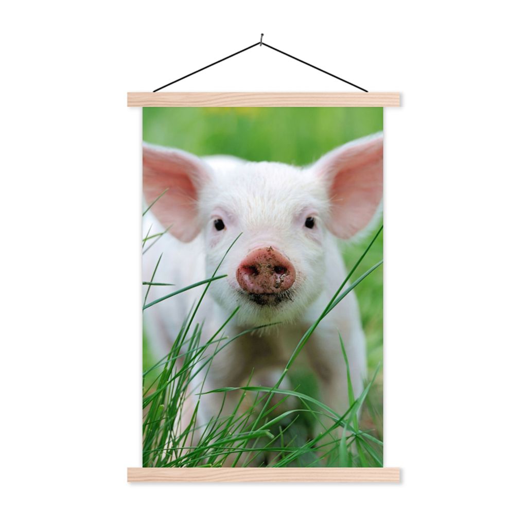 MuchoWow Textilposter Schwein - Tiere - Groß 40x60 cm mit holzfarbenen Rahmen - Poster