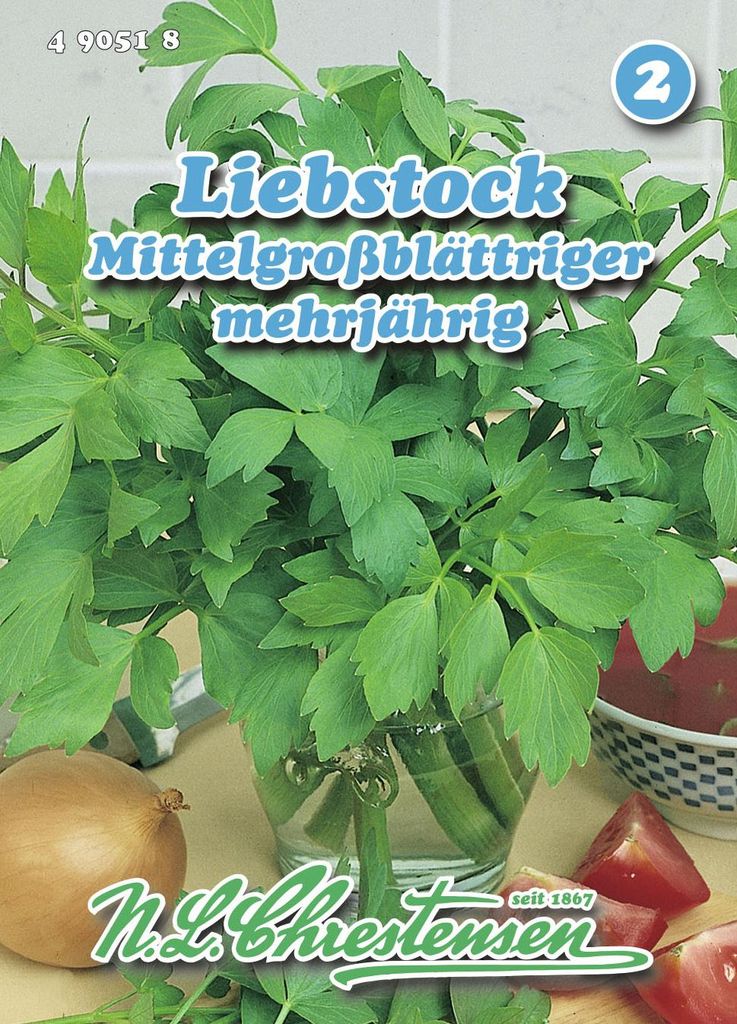 Liebstock Mittelgroßblättriger | Liebstöckelsamen von N.L. Produktbild 