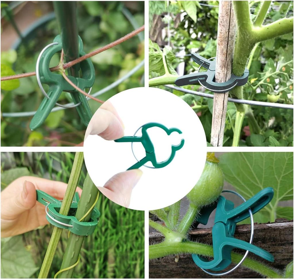 Inhalt für Kletterhilfe - Zimmerpflanzen Rankgitter - Gartenpflanzenstütze 6 Stück - 20 Pflanzenklemmen - Pflanzenclips für Kletterpflanzen - ...