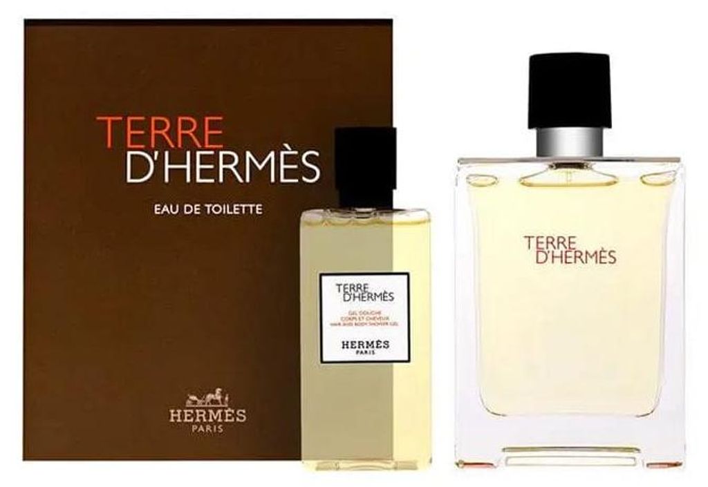 Hermès Terre D´Hermes Eau De Toilette Spray 100ml Set 2 Produktbild 