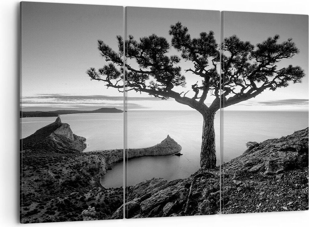 Bild auf Leinwand - Leinwandbild - 3 Teile - Baum Schwarzweiß Ansicht - 105x70cm - Wand Bild - Wanddeko - Wandbilder - Leinwanddruck - Bilder - Wa...