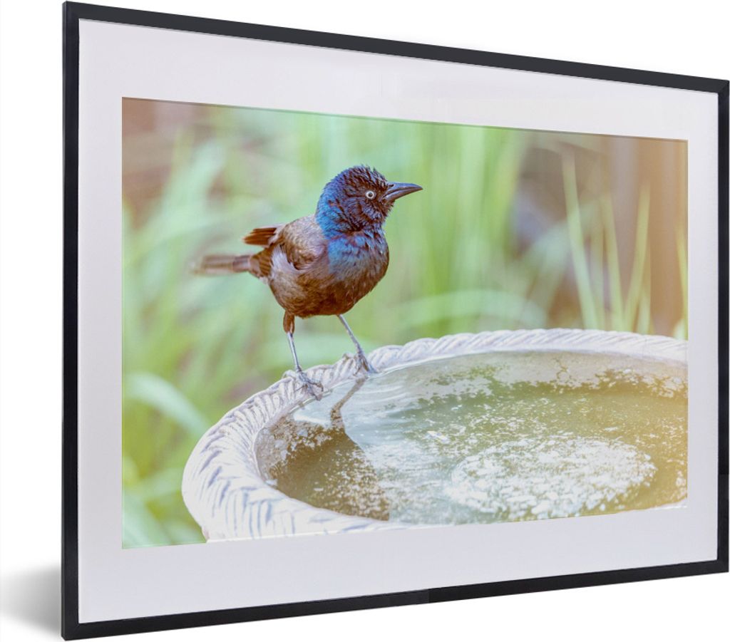 MuchoWow MuchoWow Gerahmtes Poster Vogeltränke - Amsel - Wasser 40x30 cm - Poster mit zchwarzem Bilderrahmen - Bilderrahmen - Poster im Rahmen
