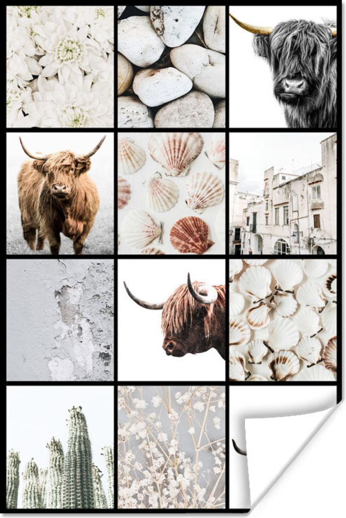 MuchoWow Poster Schottisches Hochlandrind - Collage - Blumen - Muscheln 40x60 cm - Plakate für die Wand - Poster Babyzimmer