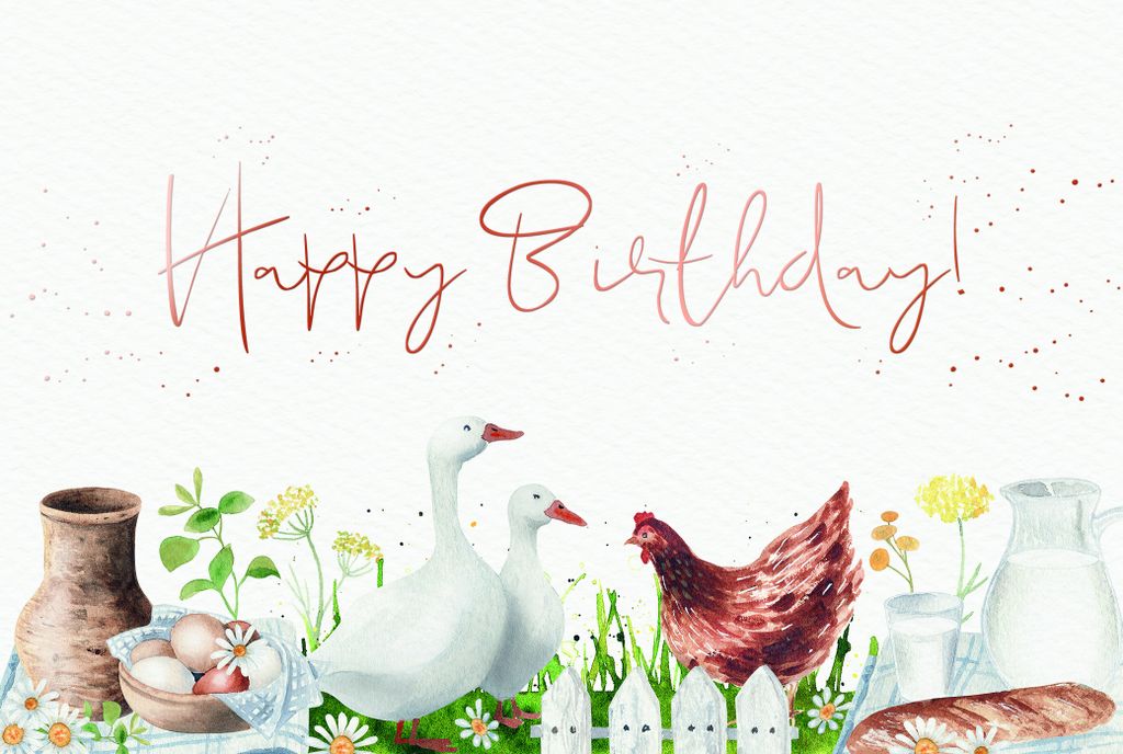 Geburtstag - Glückwunschkarten im Format 17 x 11,5 cm - Gänse, Hahn