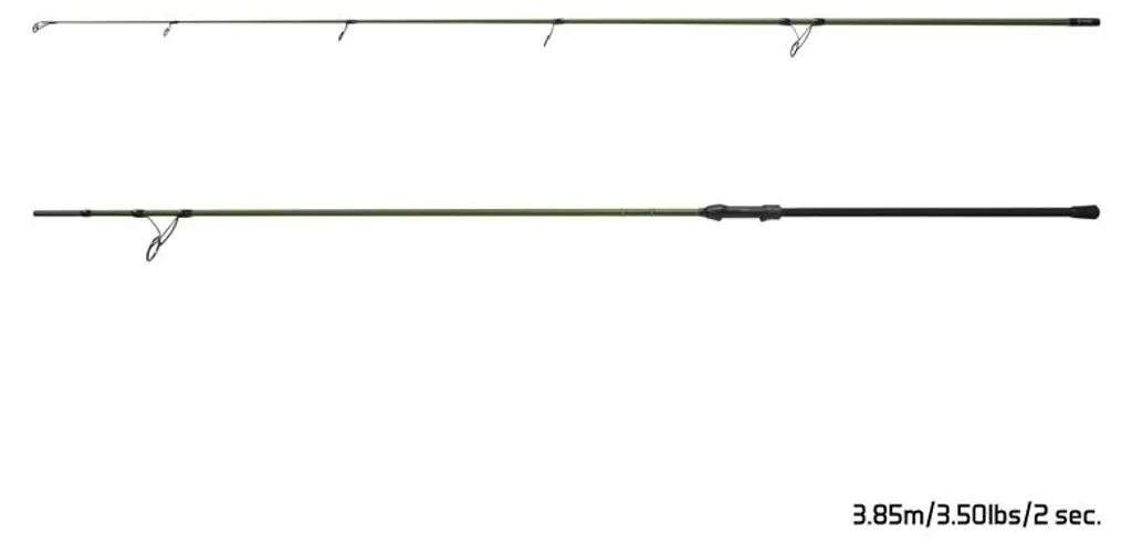 Canne carpe Delphin Etna 3.5lb : Maîtrisez les gros poissons 3.85m